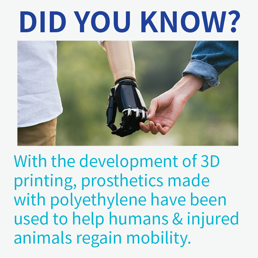 Did you know? 